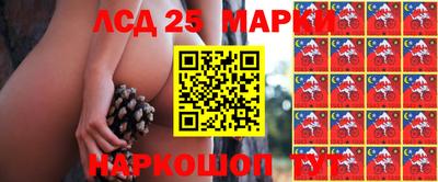 сатива Кулебаки